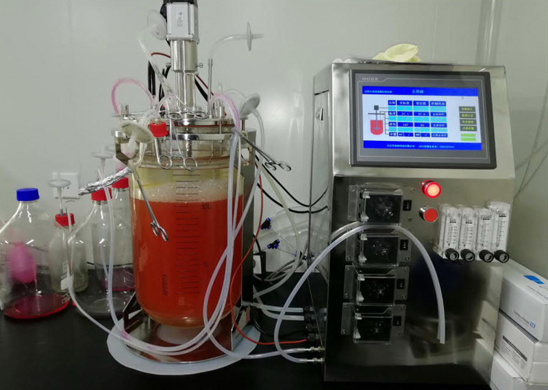 900�Ͳ��P���